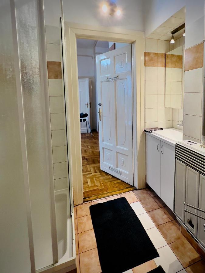 Residence In The Pedestrial Area 부다페스트 외부 사진